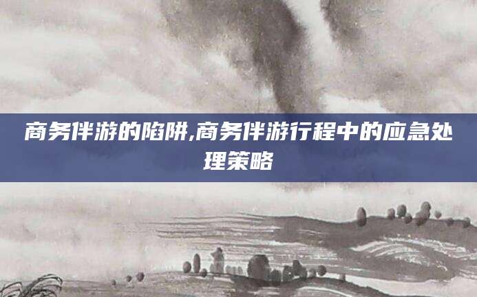 鹿邑商务伴游的陷阱,商务伴游行程中的应急处理策略